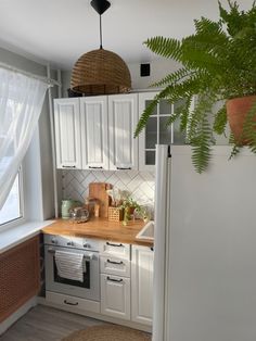 a kitchen with white cupboards and wooden counter tops next to a plant in a pot