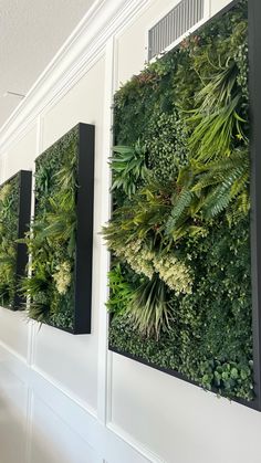 a living wall with green plants on it