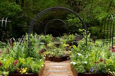 a garden filled with lots of different types of flowers and plants next to each other