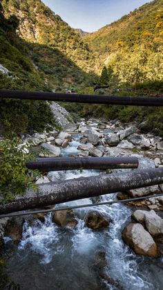 a stream running through a lush green forest filled with rocks and trees next to a mountain