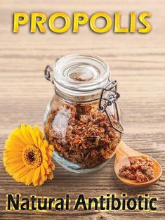 Propolis Benefits, Herbs For Sleep, Bee Farming, Mineral Nutrition, Honey Products, Natural Antibiotic, Bee Propolis, Backyard Beekeeping, Natural Antibiotics