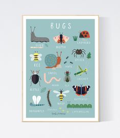 a poster with bugs and other insect species on it's blue background, in front of a white wall