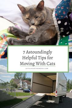 a cat laying on top of a bed next to a truck with the words, 7 astoundingly helpful tips for moving with cats