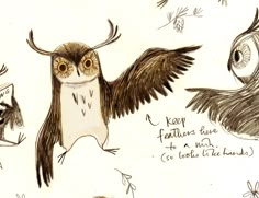 an owl with large wings and two smaller ones