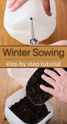 top portion is screw driver piercing milk jug, bottom portion is man filling milk jug with potting mix using a scooper Plant Growing