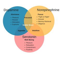 Behavioral Neuroscience, Psychology Notes, Brain Surgeon, Psychology Studies, Brain Chemistry, Psychology Student, Brain Science, Lack Of Motivation