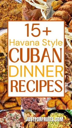 the top ten havana style cuban dinner recipes