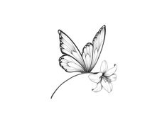 a black and white drawing of a butterfly on a flower