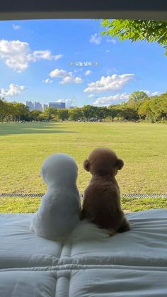 two stuffed animals sitting on top of a bed in front of a window overlooking a field