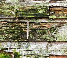 an old wooden wall with moss growing on it