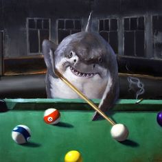 Pool Shark by Lucia Heffernan-VARPDXH1753D Image 1