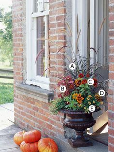 pumpkins sitting on the ground next to a window sill with flowers in it