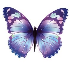 a purple and blue butterfly flying in the air