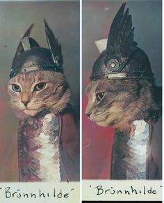 two pictures of a cat wearing a crown and feathers on its head, with the caption'brimilide'written below