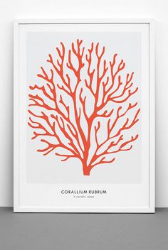 an orange coral print on a white wall