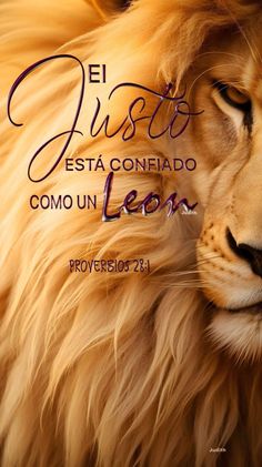 a lion with its eyes closed and the words written in spanish