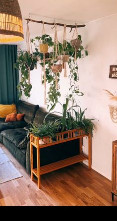 a living room with plants hanging from the ceiling