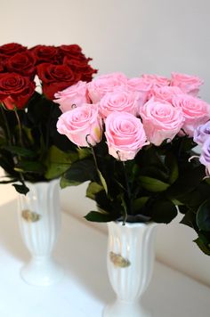 three white vases filled with pink and red roses