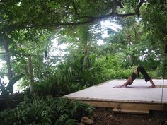 a woman is doing yoga in the middle of a wooded area with trees and bushes