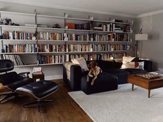 a dog sitting on the back of a couch in front of a bookshelf