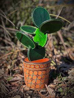 a small potted plant sitting on the ground