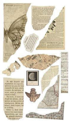 an assortment of paper cut outs with pictures and words on them, including a butterfly