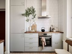 a kitchen with white cabinets and wooden counter tops is pictured in this image, there is a potted plant on top of the stove