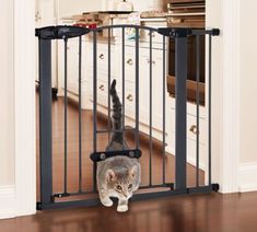 a cat walking through an open gate in a kitchen