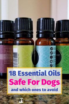 Essential Oils For Puppies, Diy Pet Care Products, Essential Oils For Dogs Odor, Pet Safe Essential Oils, Essential Oils For Dogs, Essential Oils And Dogs, Diy Dog Cologne, Toxic Essential Oils For Dogs, Pet Friendly Essential Oil Blends