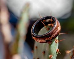 Handmade in sunny Scottsdale, Arizona and ready-to-ship! This stunning ring features rich, dark walnut with a script-like inlay of rosy copper, perfect for making a statement without being too loud or obnoxious! With an impressively shiny, durable acrylic* finish, this ring is sure to catch quite a few eyes! Despite still being a gorgeous piece, this particular ring has a large gap in the copper inlay and some slight defects in the finish, and is not up to my usual standards of excellence. As su Bentwood Rings, Wood Ring, Scottsdale Arizona, Wood Rings, Dark Walnut, Black Ceramic, Band Rings, Arizona, Jewelry Rings