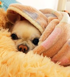 a small dog wrapped in a blanket on top of a fluffy animal bed with it's eyes wide open