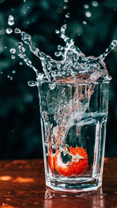 a glass filled with water and an orange floating in it