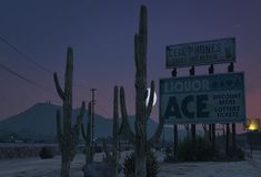 an image of a street sign in the desert at night with lights on and cacti growing next to it