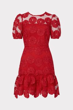 Perfect for your next cocktail party, the Yasmin dress has a sheer overlay with lace daisy flowers throughout. It features a feminine, slightly puffed short sleeve with a ruffled short skirt. Minimal accessories required. Sheer Mini Dress, Minimal Accessories, Sheer Overlay, Floral Embroidered Dress, Red Lace Dress, Special Occasion Outfits, Maxi Dress Cocktail, Cocktail Evening Dresses, Daisy Flowers