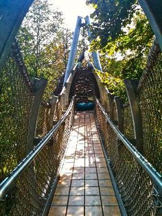 the walkway is very narrow and has many railings on both sides, as well as some trees