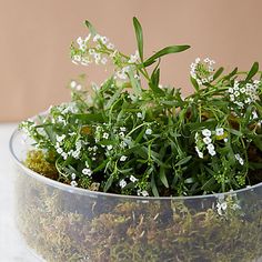 a glass bowl filled with white flowers and greenery