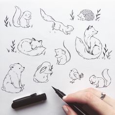 a person holding a pen and drawing different animals on a piece of paper with ink