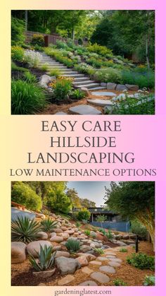 the cover of easy care hillside landscaping low maintenance options