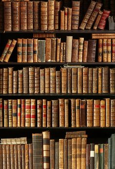 an old bookshelf filled with lots of books