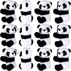 stuffed pandas are arranged in rows on a white background