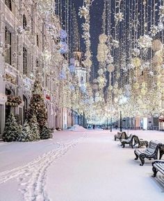 a snowy street with benches and christmas lights hanging from the trees in front of buildings