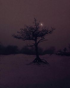 a lone tree in the middle of a snowy field under a full moon at night