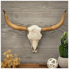 a cow's skull mounted on the side of a wooden wall next to cacti