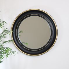 a round mirror hanging on the wall next to a potted plant