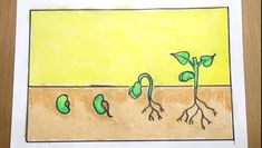 a drawing of a plant growing from the ground with roots and leaves on it, in front of a yellow background