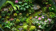 a glass bowl filled with plants and rocks