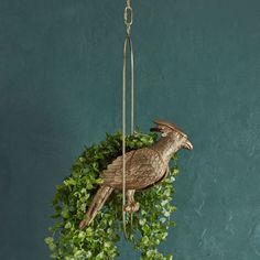 a bird is hanging from a planter on the wall with green foliage around it