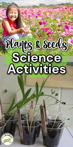 plants and seed science activities for kids to do in the garden or on the lawn