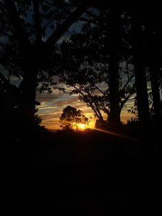 the sun is setting behind some trees