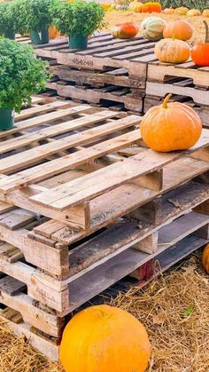 several wooden pallets with pumpkins on them